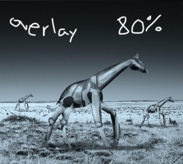Creation of Meanwhile in the Desert: Step 11